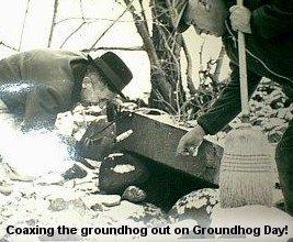 Coaxing the groundhog out 