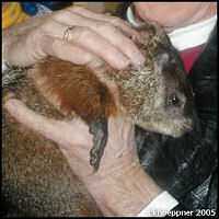 �Katie Hoeppner 2005