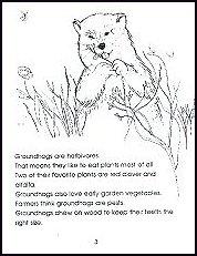 �khoeppner 1993